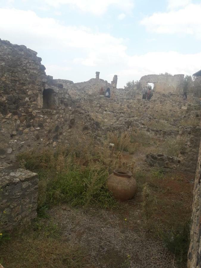 Rosy Monolocale Nel Centro Storico Di Torre Annunziata Di Fronte Scavi Oplonti Apartment Bagian luar foto